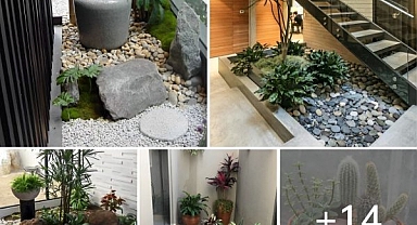 14 Astound Indoor Rock Garden Ideas