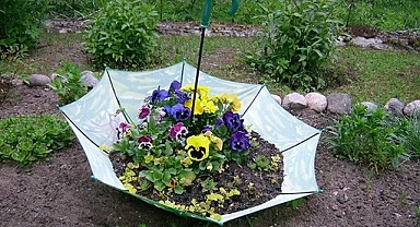 20 Out of The Ordinary Recycled Garden Planters